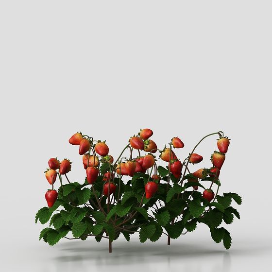 Vibrant Strawberry Bush 3D model for Creative Projects