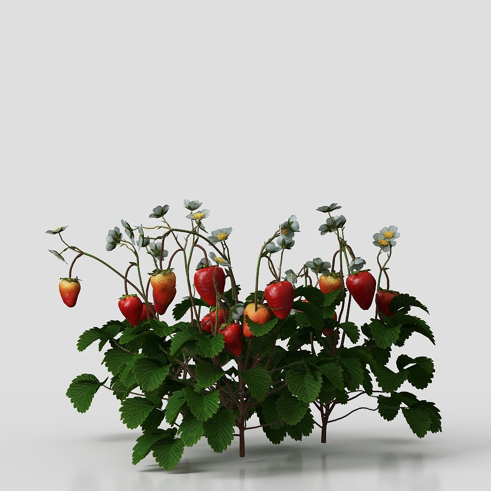 Realistic Strawberry Bush 3D Model for Creative Designs