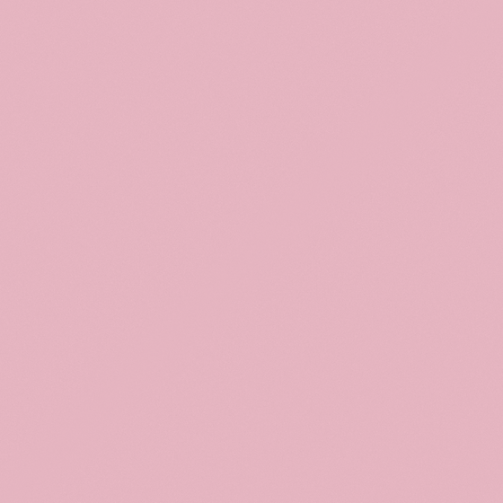 Spring Blossom Wall Paint 3D Model