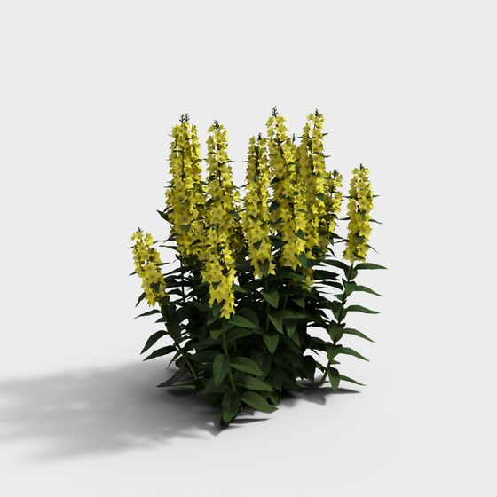 Vibrant Yellow Flower Plant 3D Model - Sun Tower