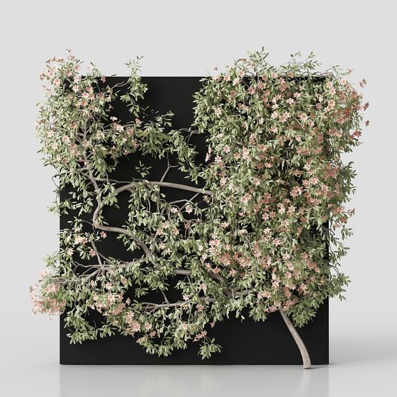 พืชกลางแจ้ง426