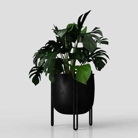 Stylish Monstera Plant Stand 3D model