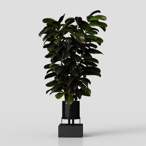 Urban Green Plant 3D model for Contemporary Spaces