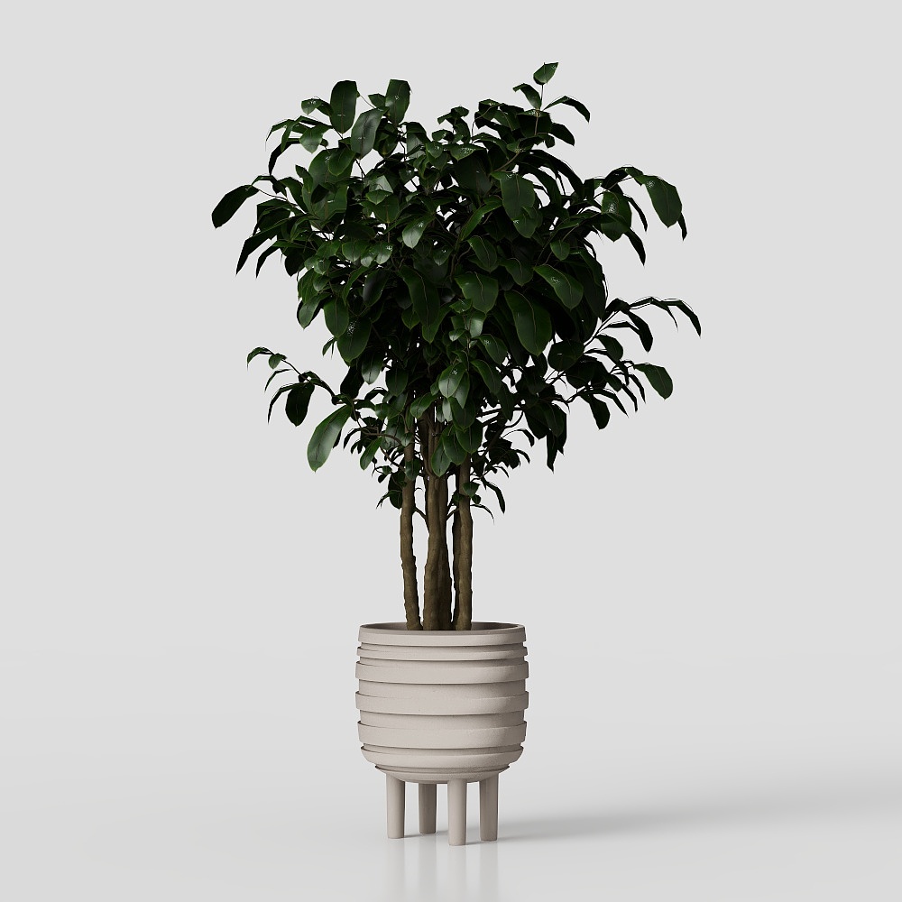 Indoor Plants in Ferm Living Bau Pot Large - Set 0