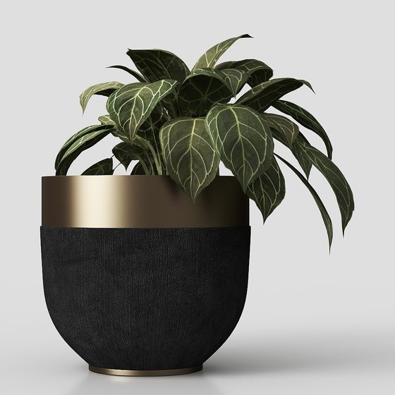 Elegant Urban Green Plant Pot 3D model