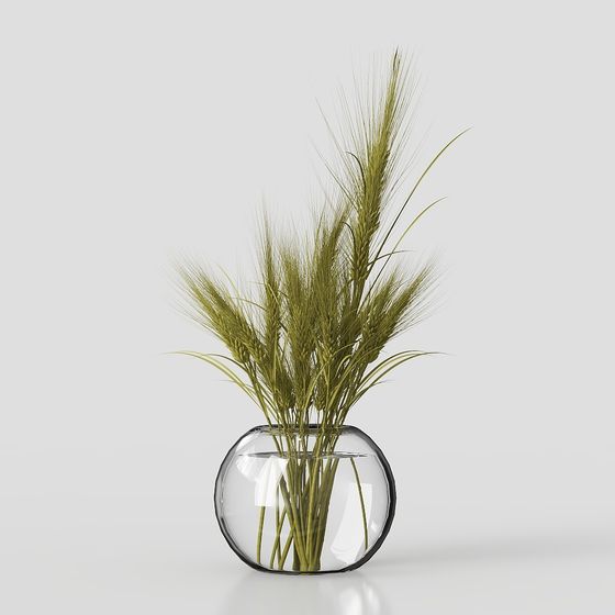 Collaction 식물 다발02