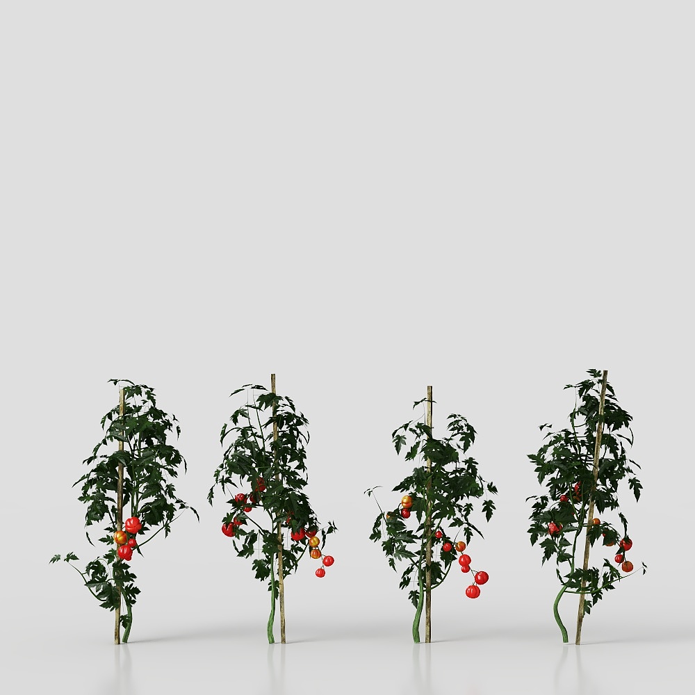 Modern farms grow bell pepper plants naturally