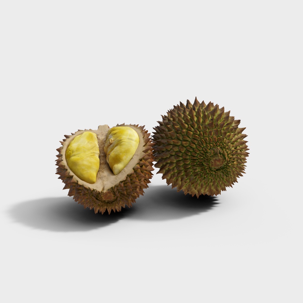 Durian Enigma 3D model