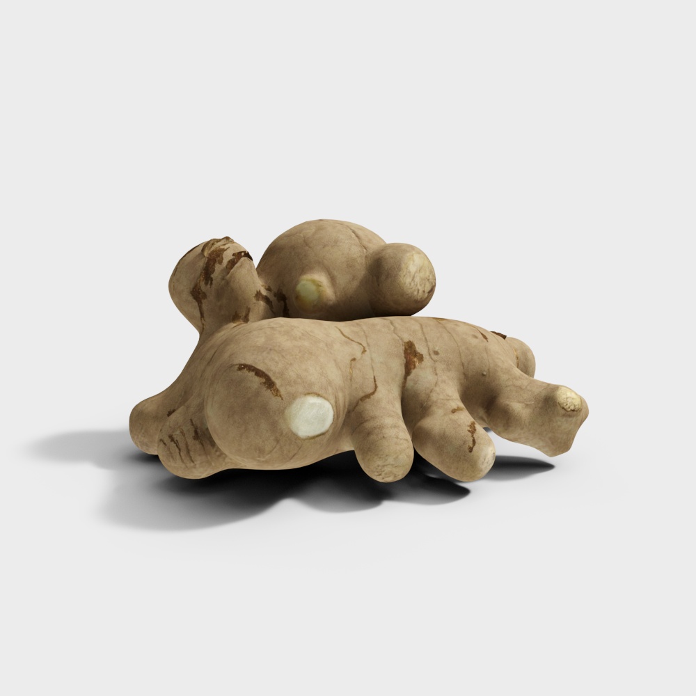 Ginger Root 3D model