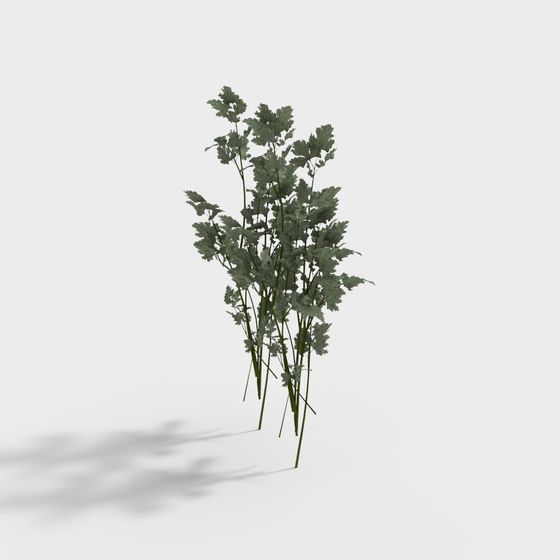 Forest Spirit Low Poly 3D model for Creative Projects