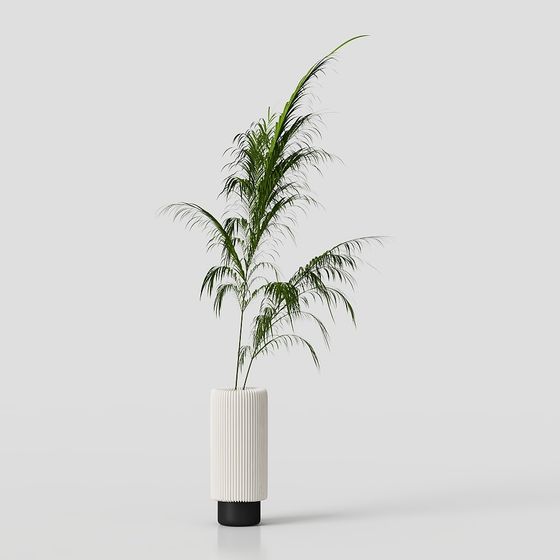 Vibrant Palm Tree 3D Model for Modern Designs