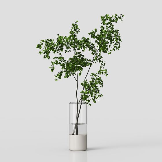 Green Plant in Glass Vase 3D model