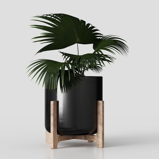 Minimalist Green Plant Pot Rack 3D Model