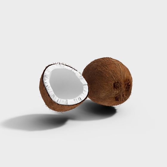 Tropical Coconut 3D Model for Creative Projects