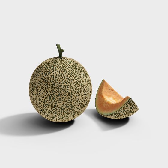Realistic Cantaloupe 3D model