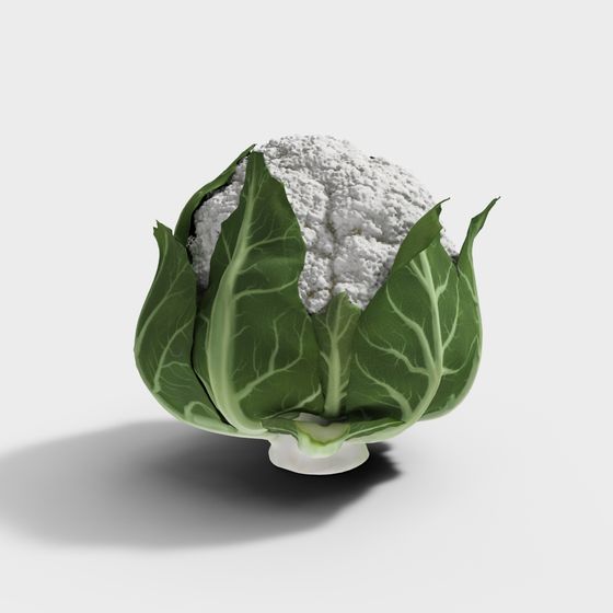 Realistic Cauliflower 3D model for Creative Projects