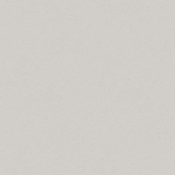 NCS S-1500-N Light Grey Wall Paint