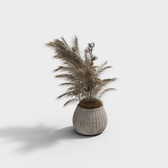 Cozy Oasis 3D model for Creative Projects