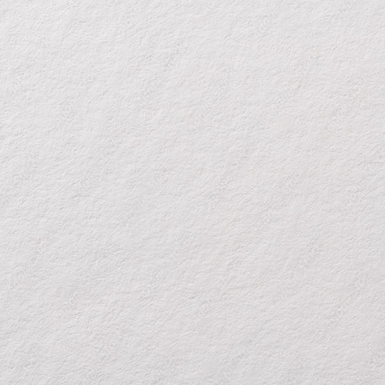 Conc Wall Paint 3D Model for Modern Interiors