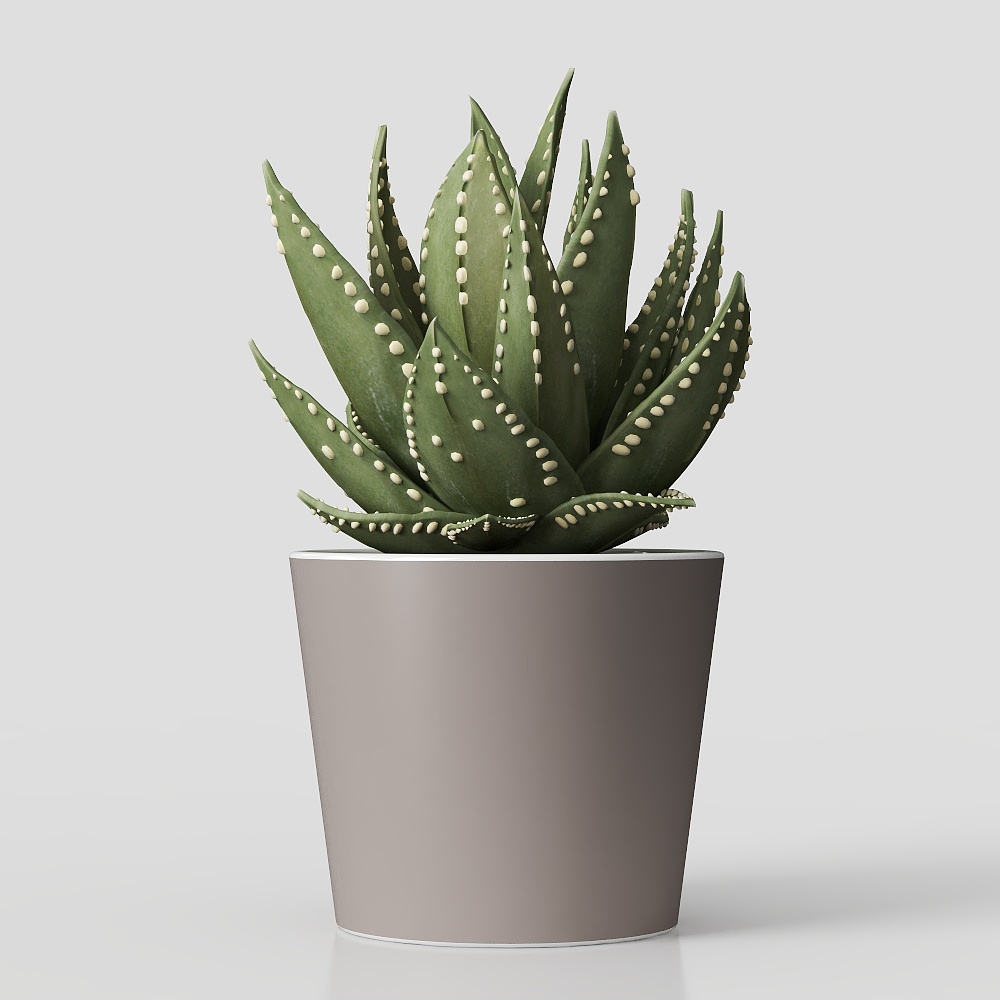 โซนเกมเด็ก 04