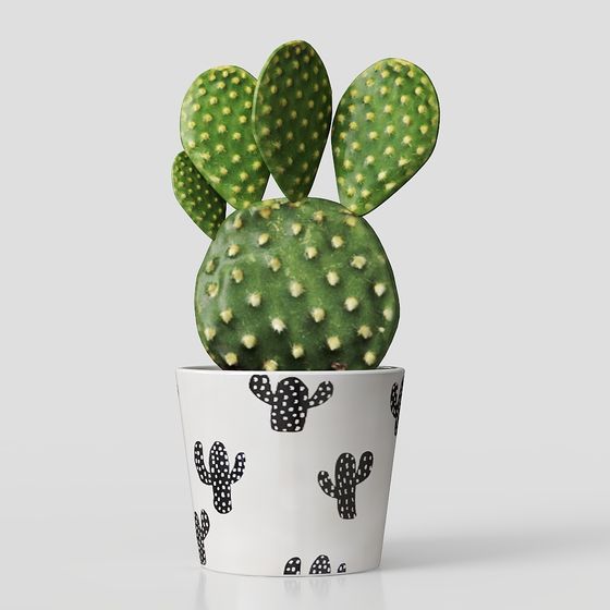 Low Poly Cactus Potted Plant 3D model