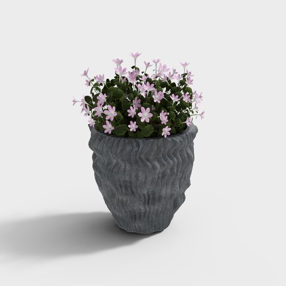 Cảnh xanh ngoài trời