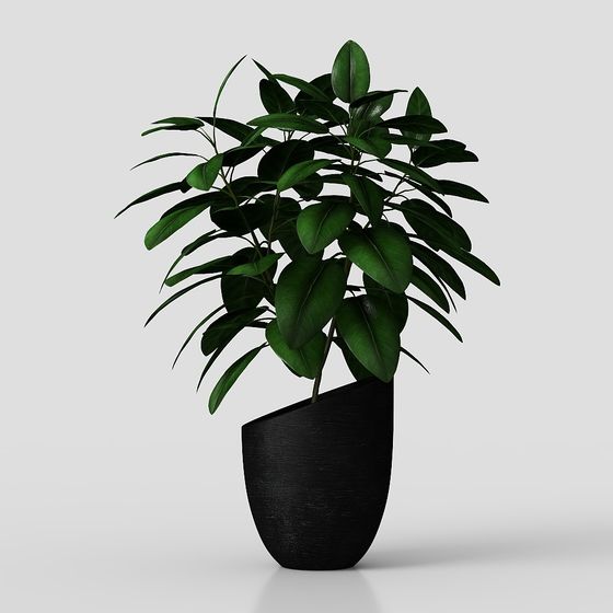 Realistic Indoor Plant Pot 3D model