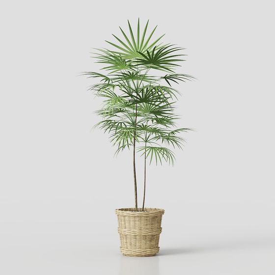 Low-Poly Palm Plant 3D Model