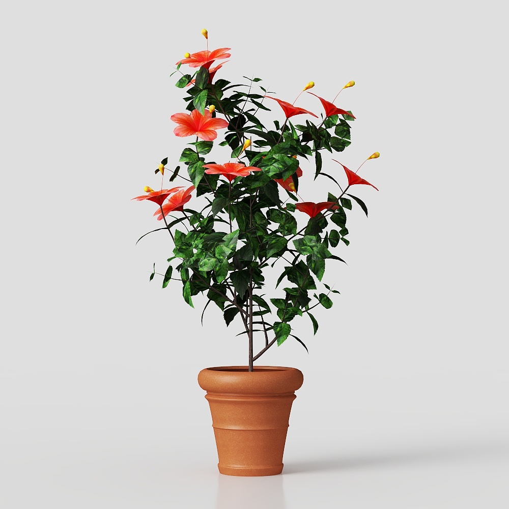 Цветок на открытом воздухе