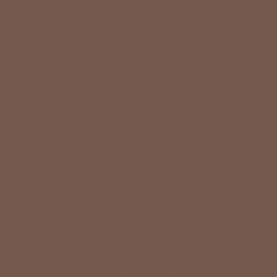 Brown Acrylic 3D Model for Paint