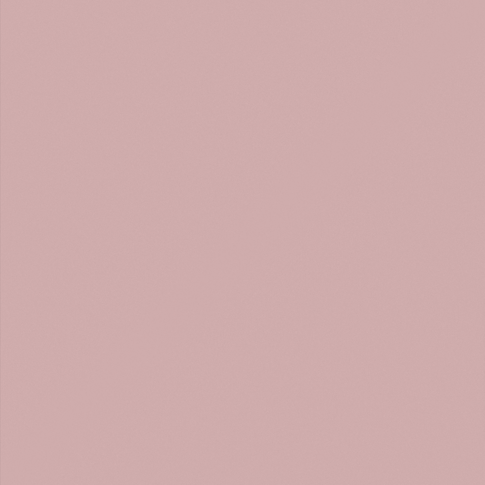 Dusty Rose Google Search Wall Paint 3D Model