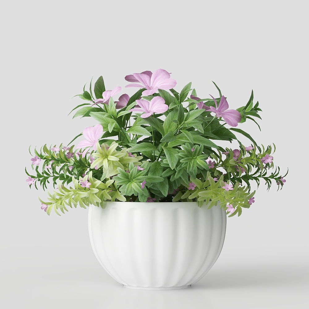 Flores interiores modernas