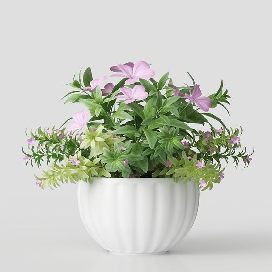 Flores interiores modernas