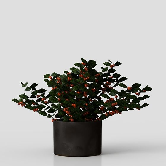 Winter Berry Potted Plant 3D model
