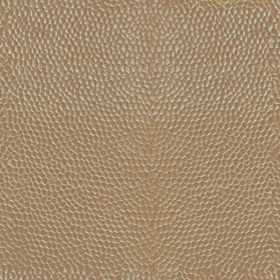 Medium Beaten Copper Wall Paint 3D Model