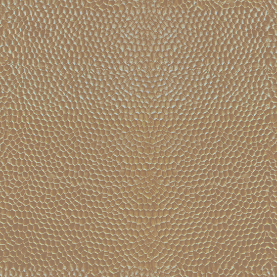 Seamless Wall Paint Texture 3D Model