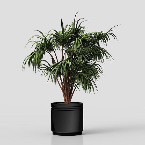 Stylish Indoor Plant 3D model for Modern Interiors