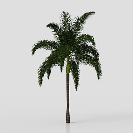 Realistic Palm Tree 3D model