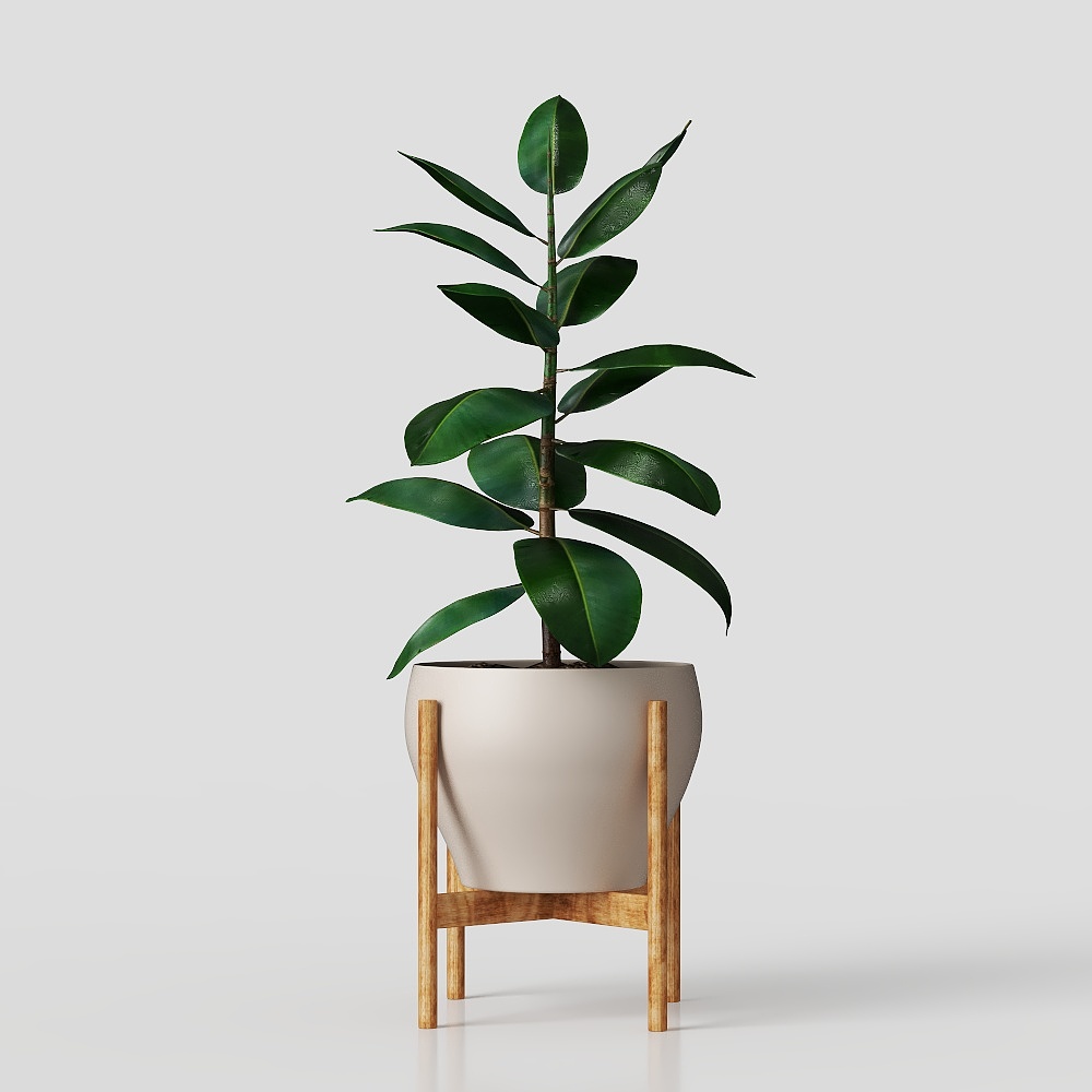 Elegant Low-Poly Plant Pot 3D model