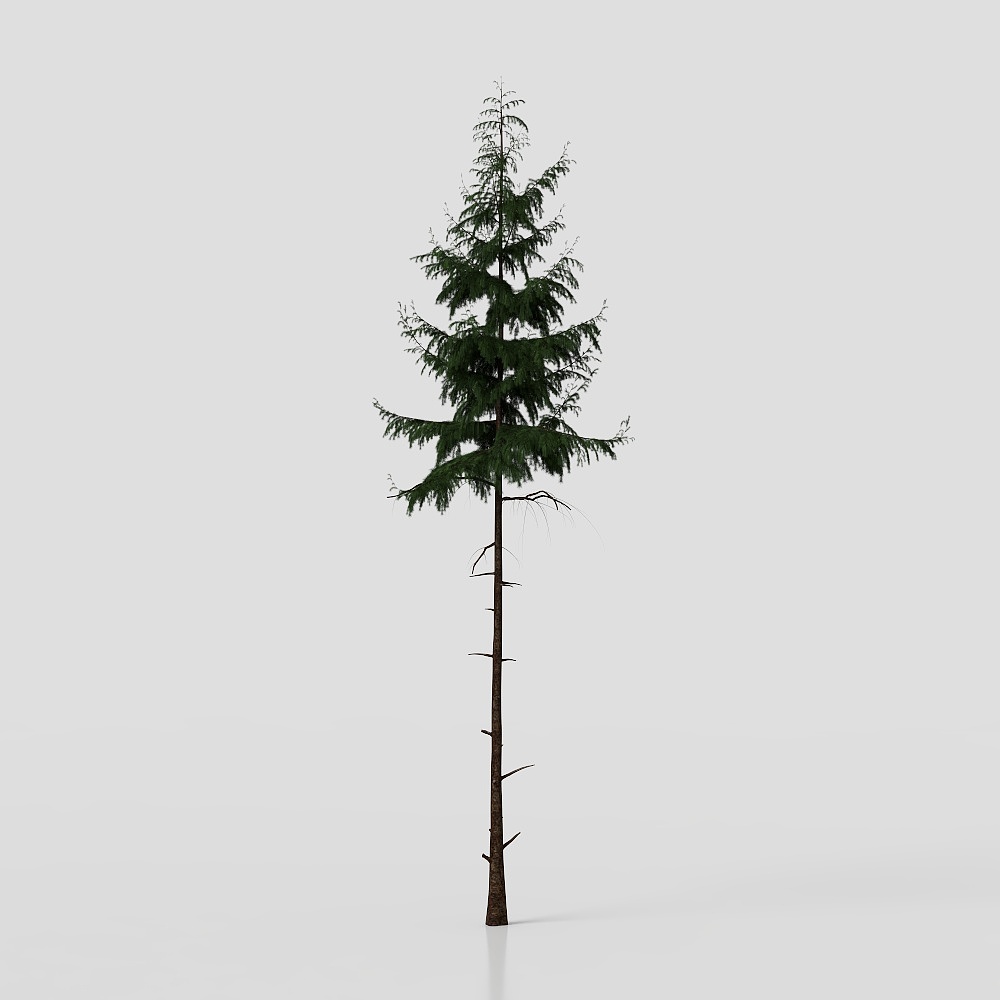tree set02