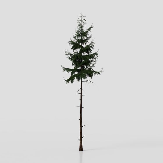 Realistic Low-Poly Pine Tree 3D model