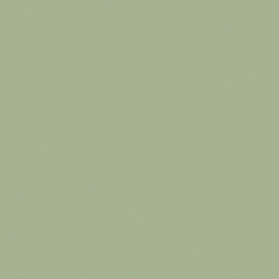 Verde 3D Model - Wall Paint