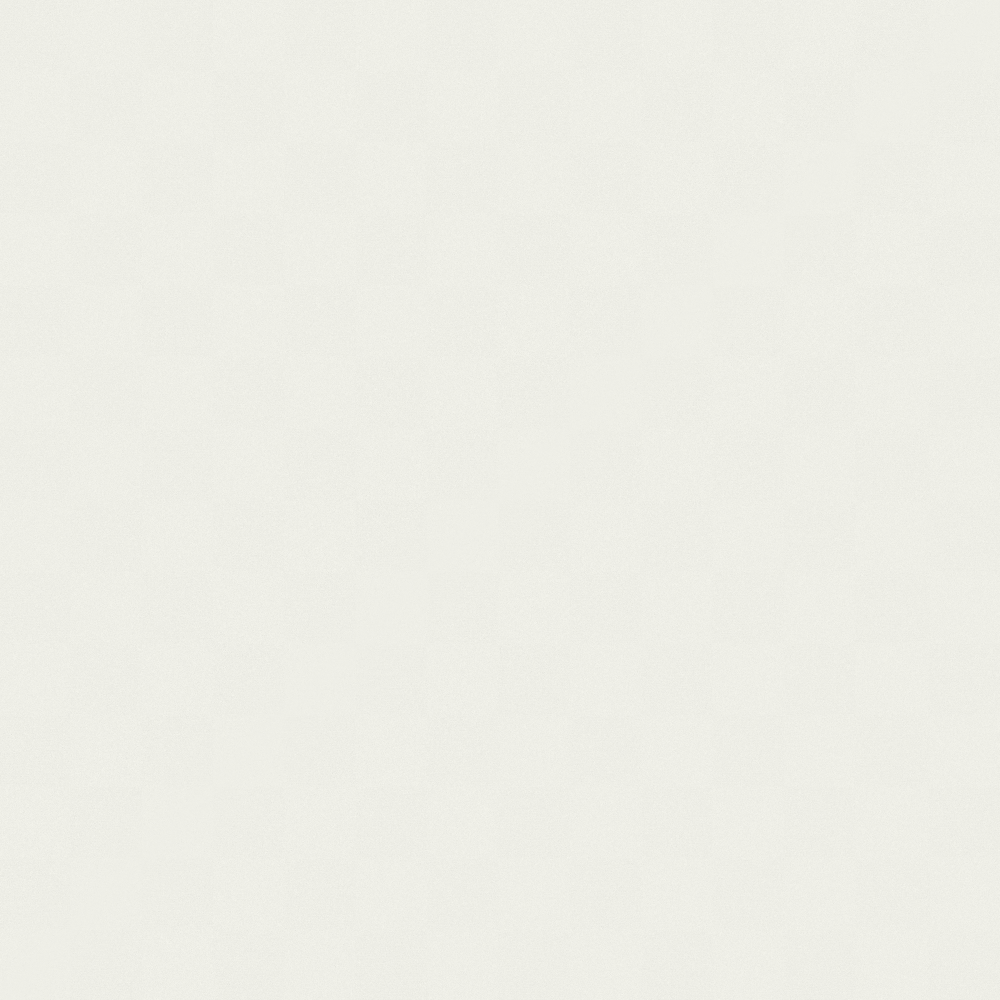 Isabel Vidrio - pintura muros