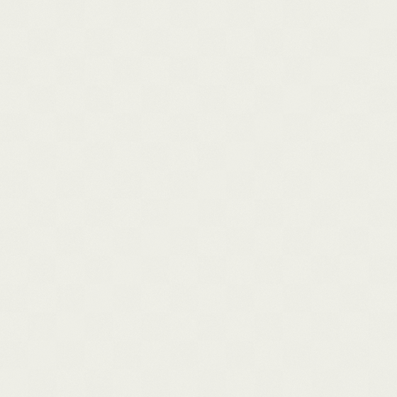 Isabel Vidrio - pintura muros