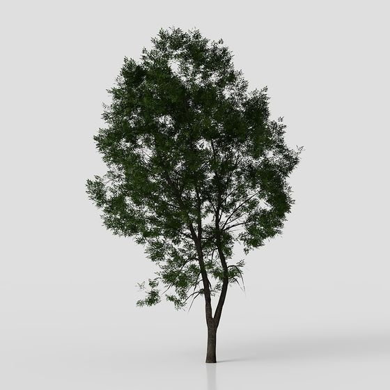 Lifelike Low-Polygon Oak Tree 3D model for Creative Use