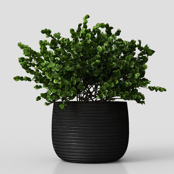 Stylish Urban Green Plant Pot 3D model