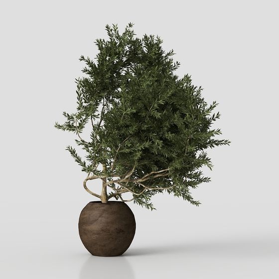 Realistic Indoor Potted Plant 3D Model
