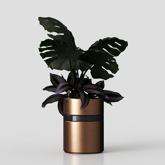 Copper Planter Plant 3D Model for Creative Projects