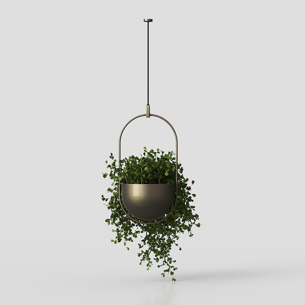 Plantes d'intérieur 02