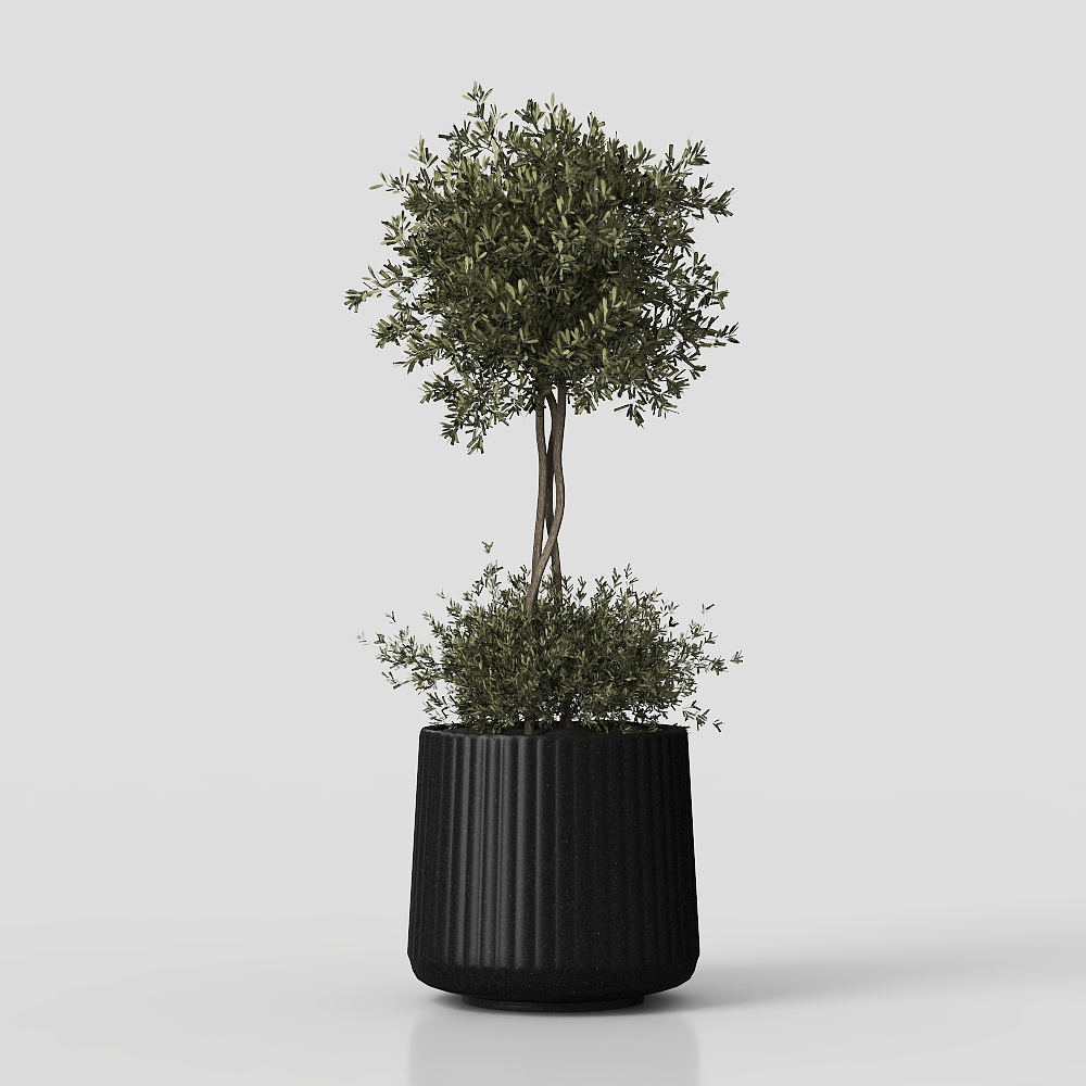 Ensemble de plantes d'intérieur